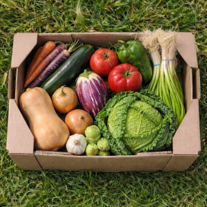 CAJA DE VERDURAS VARIADAS