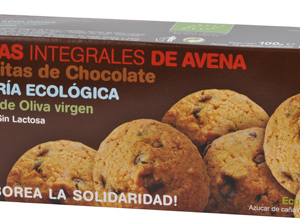 Galletas integrales de avena con chocolate 100 gr