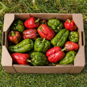 caja de pimientos variada