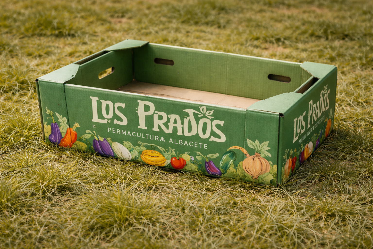 caja de carton