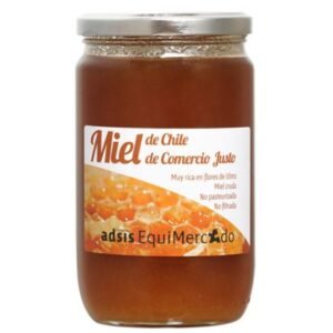 Miel cruda de Chile 900g