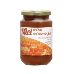 Miel cruda de Chile 500g
